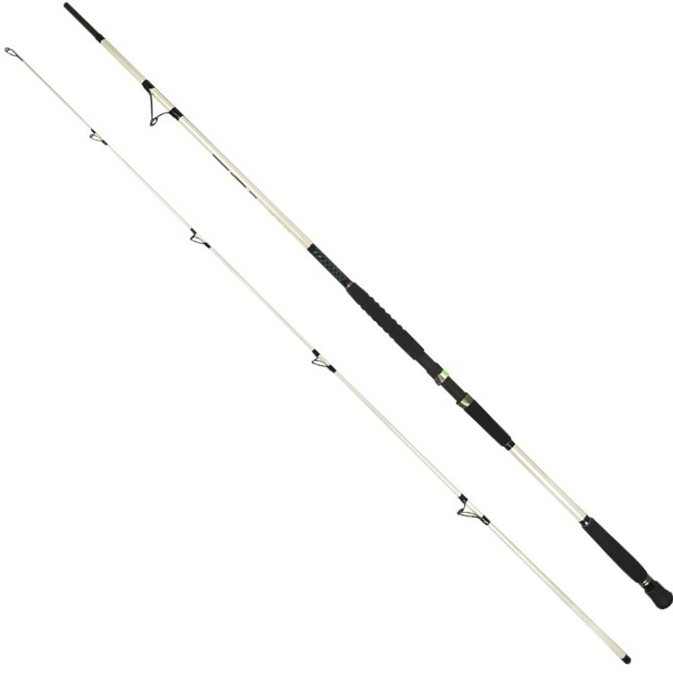 Dragon Wędka Boat Master 315cm / 160g