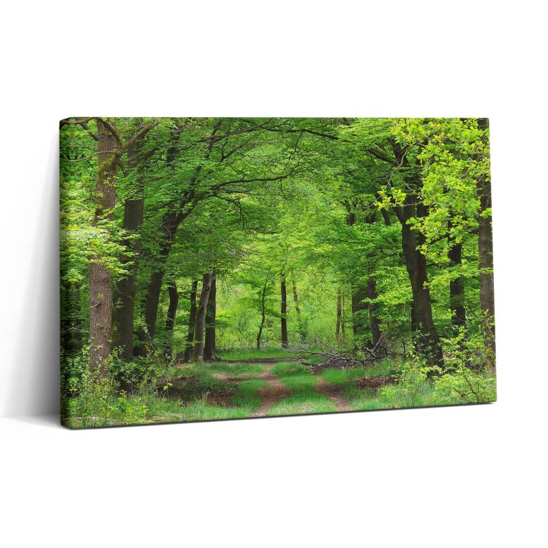 Obraz na płótnie Wallfluent 30x20 cm Leśna droga pod drzewami 1 szt.