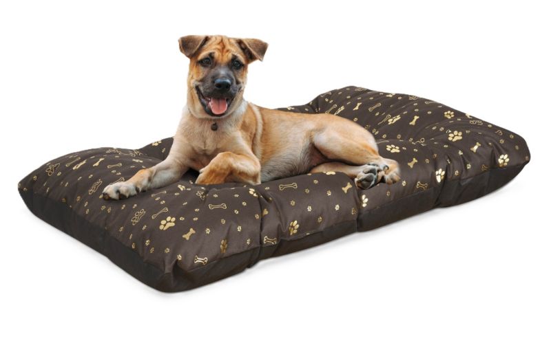 Legowisko dla psa poduszka Aio Factory PRESTIGE wodoodporna wzór kości złote 120x80 cm 1szt