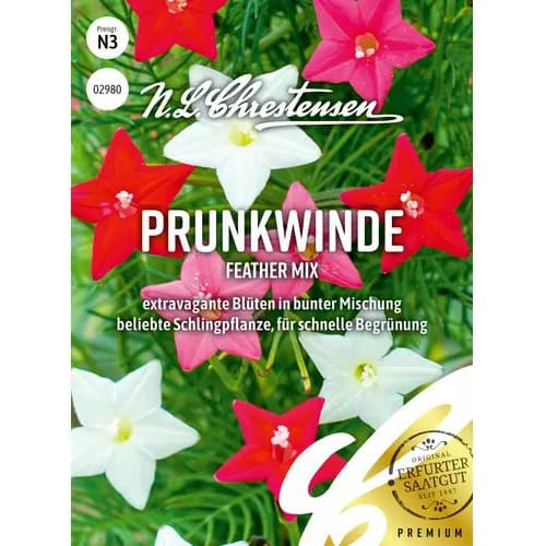 1 szt, Prunkwinde Feather Mix - Samen: Ilość w opakowaniu: 1 Stück