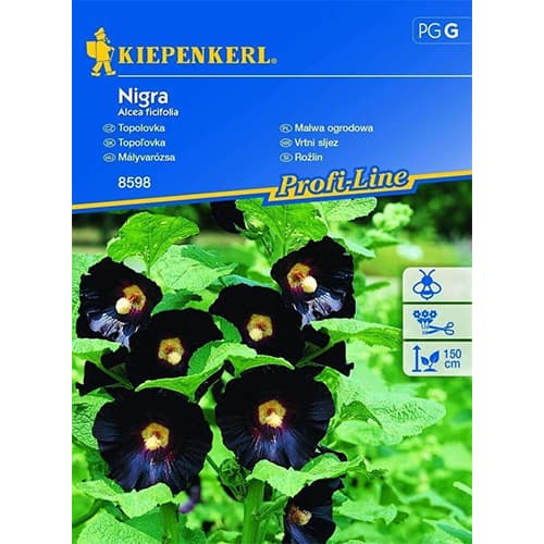 1 szt, Stockrose Nigra - Samen: Ilość w opakowaniu: 1 Stück