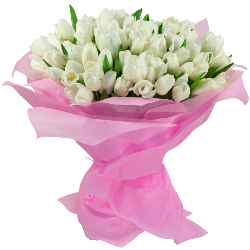 Białe tulipany od 25 do 75 sztuk