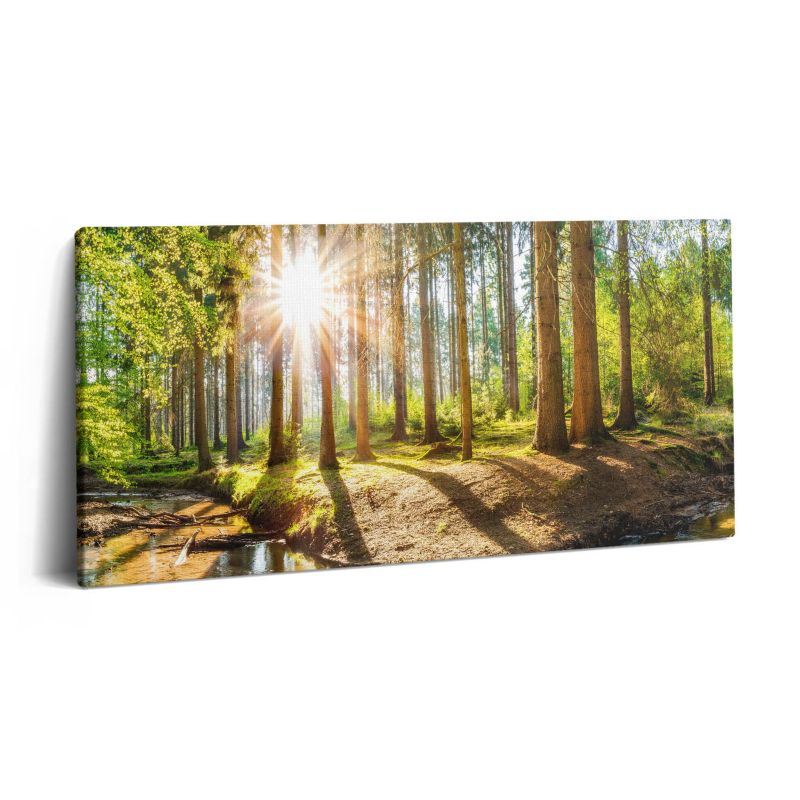 Obraz na płótnie Wallfluent 100x50 cm Słońce za drzewami w lesie 1 szt.