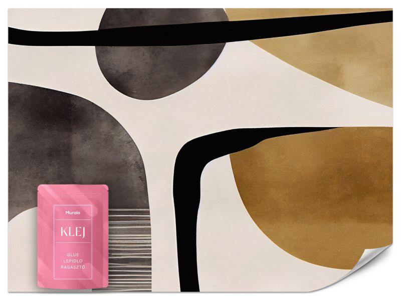 Fototapeta Muralo Kształty w Stylu Retro 500x350 cm 1szt.