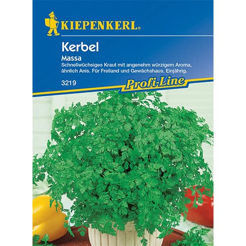 1 szt, Kerbel Massa - Samen: Ilość w opakowaniu: 1 Stück