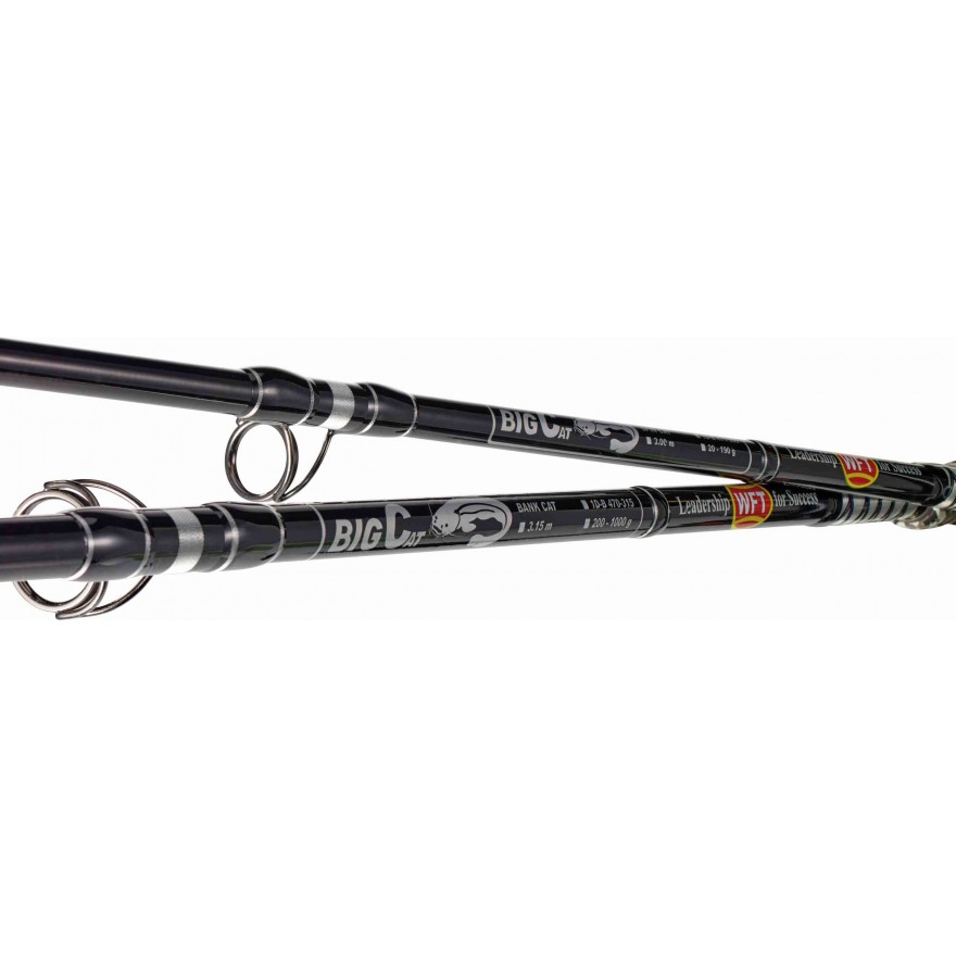 WFT Big Cat Spin Cat 2.20m 20-190g