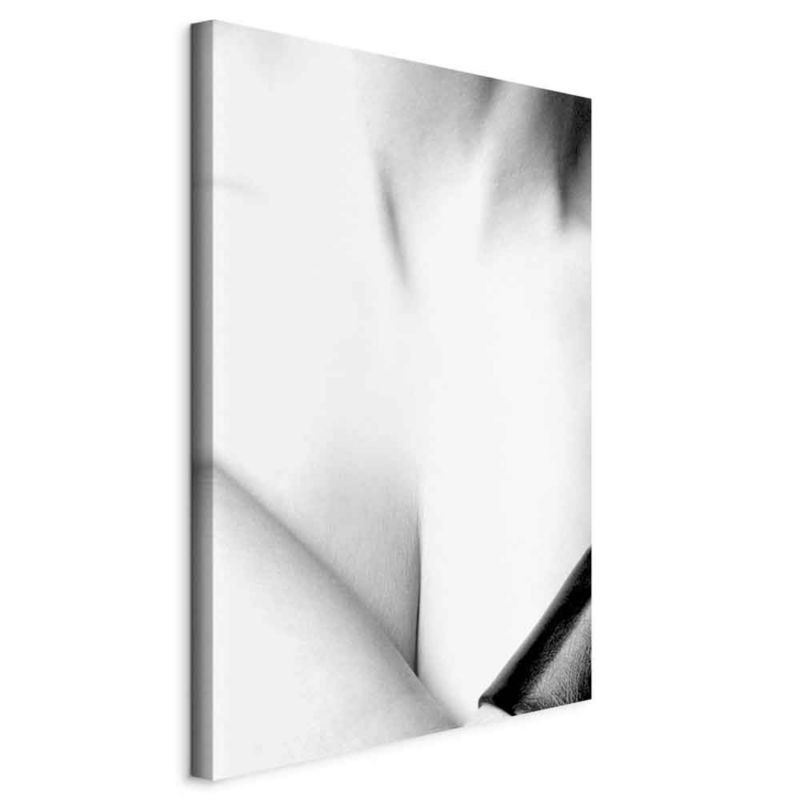 Obraz Artgeist Wdzięk 40 x 60 cm flizelina 1 szt