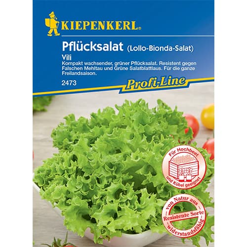 1 ob, Salát listový Vili - : Monžstvo balíkov: 1 ob