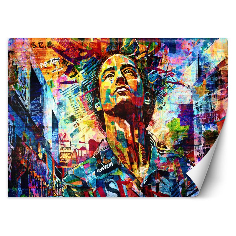 Fototapeta Feeby Mężczyzna Kolorowa Abstrakcja 400x280 1 szt