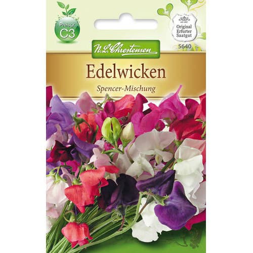 1 szt, Edelwicke Spencer - Mischung - Samen: Ilość w opakowaniu: 1 Stück