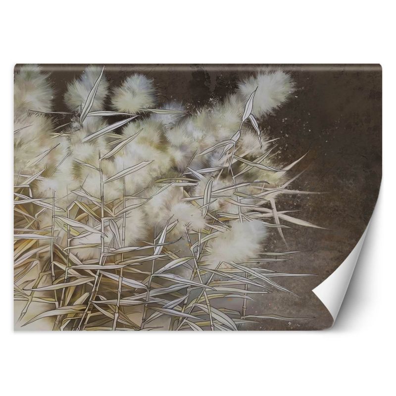 Fototapeta Feeby Trawa pampasowa boho 254x184 1 szt