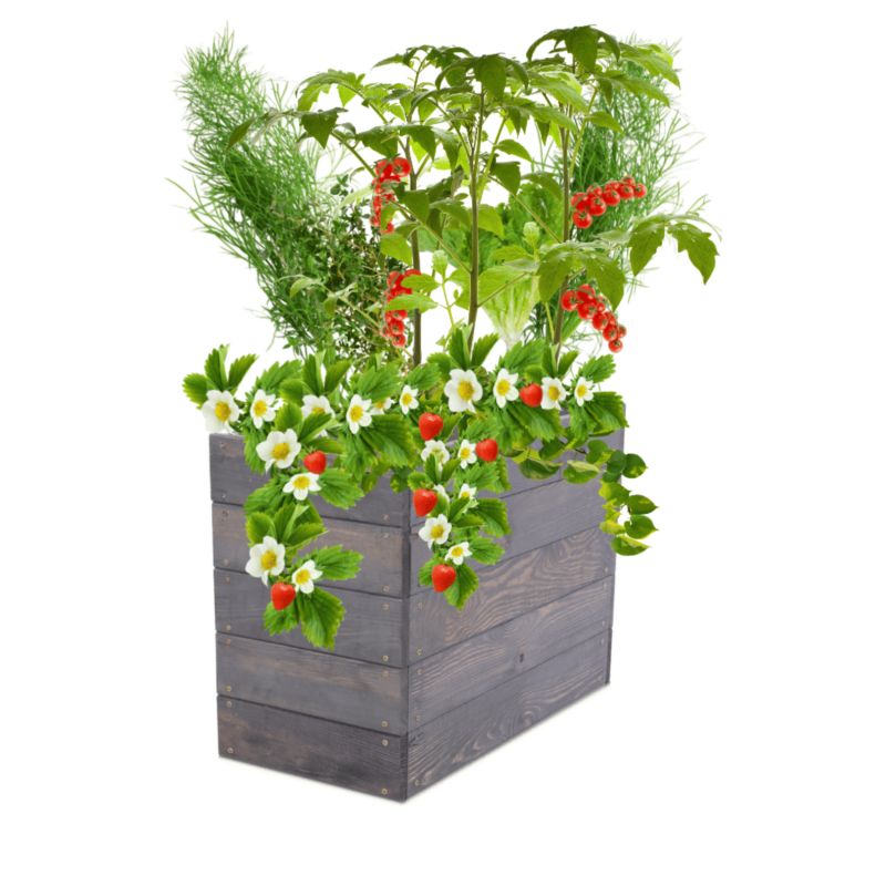 Inspekt MODO24 donica na warzywa szara impregnacja 45x63x30 cm 1 szt.