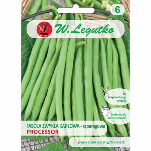 1 szt, Fasola szparagowa karłowa Processor Legutko - Nasiona: Ilość w opakowaniu: 40 szt