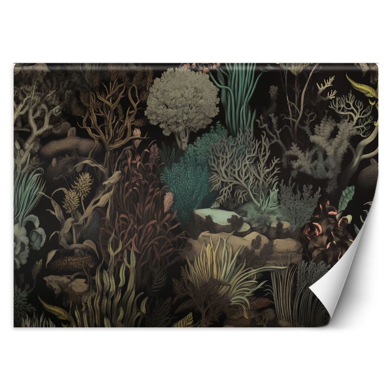 Fototapeta Feeby Feeby Fototapeta Feeby Morskie rośliny koralowce 100x70 1 szt