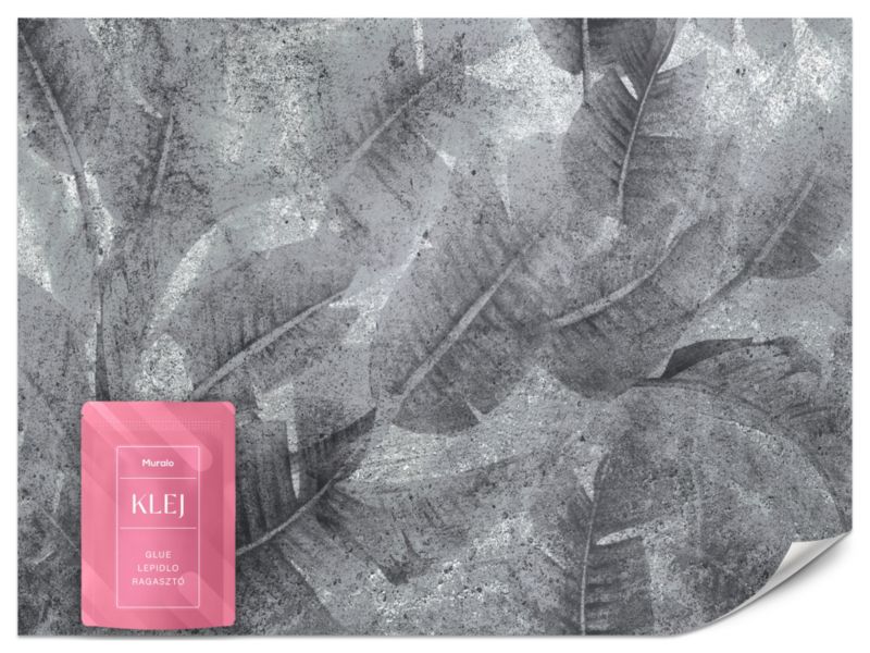 Fototapeta Muralo Liście na Betonie 300x210 cm 1szt.
