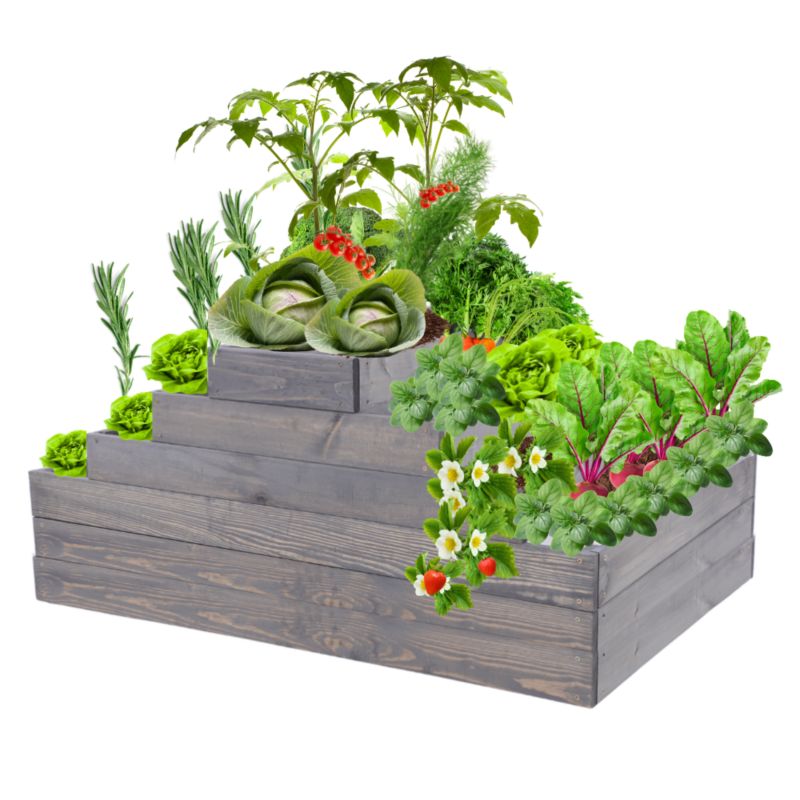 Grządka warzywna MODO24 regulowana inspekt 54x117x120 cm szare impregnowane drewno 1 szt