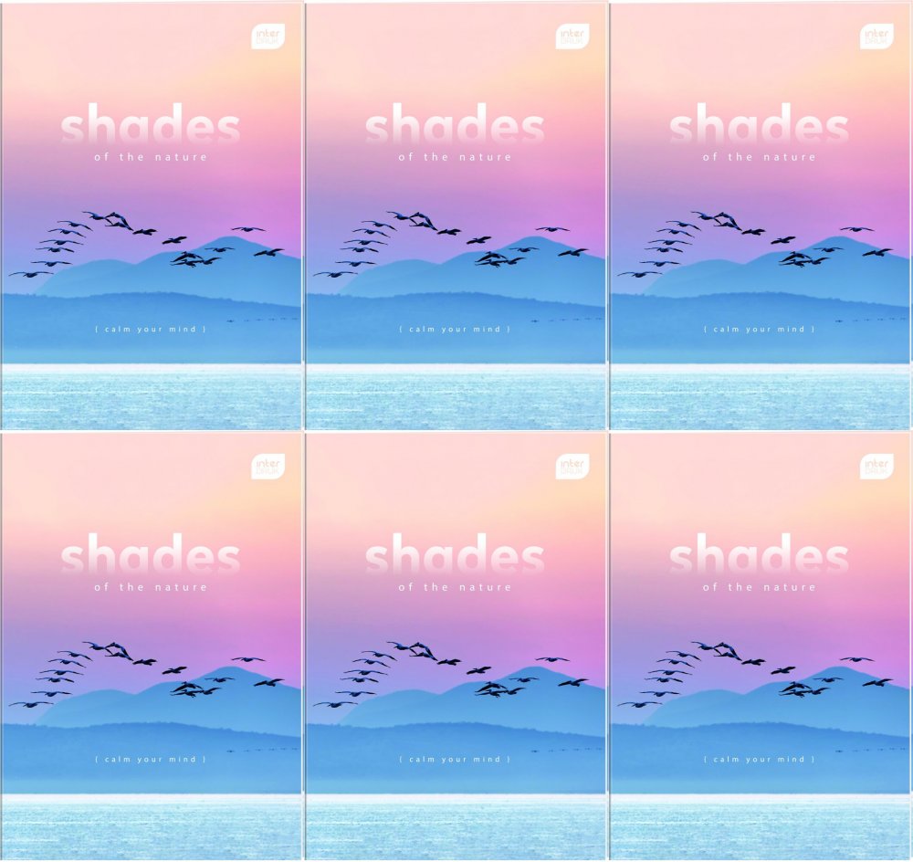 6x Brulion w kratkę Interdruk, A4, twarda oprawa, 160 kartek, mix wzorów