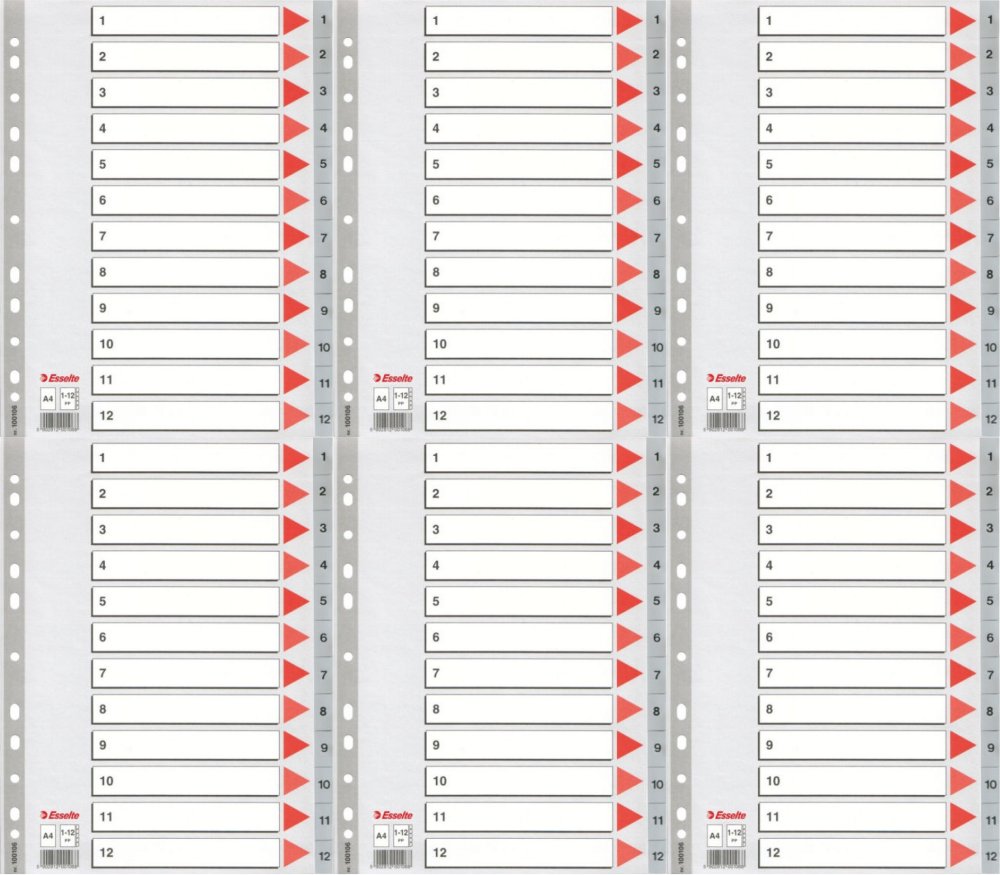 6x Przekładki do segregatora Esselte, plastikowe, numeryczne, A4, 1-12 kart, szary