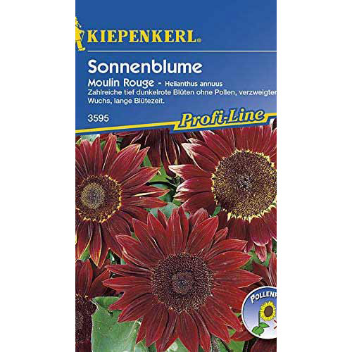 1 szt, Sonnenblumen Moulin Rouge - Samen: Ilość w opakowaniu: 1 Stück