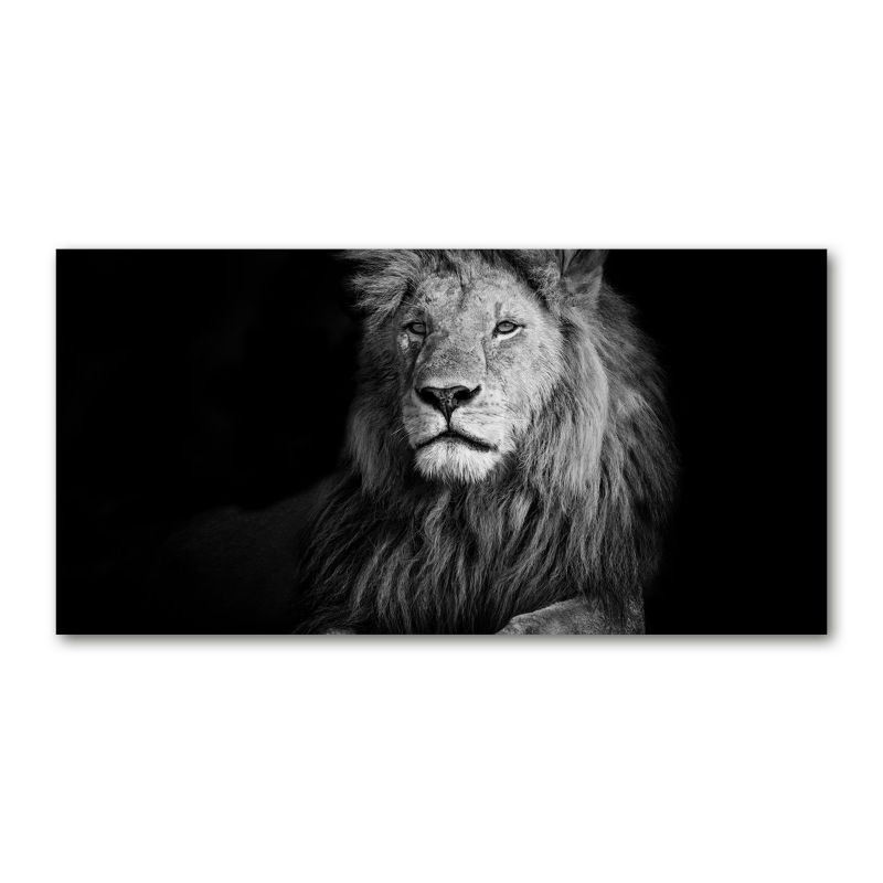 Obraz canvas Tulup Lew 125x50 cm 1 szt.