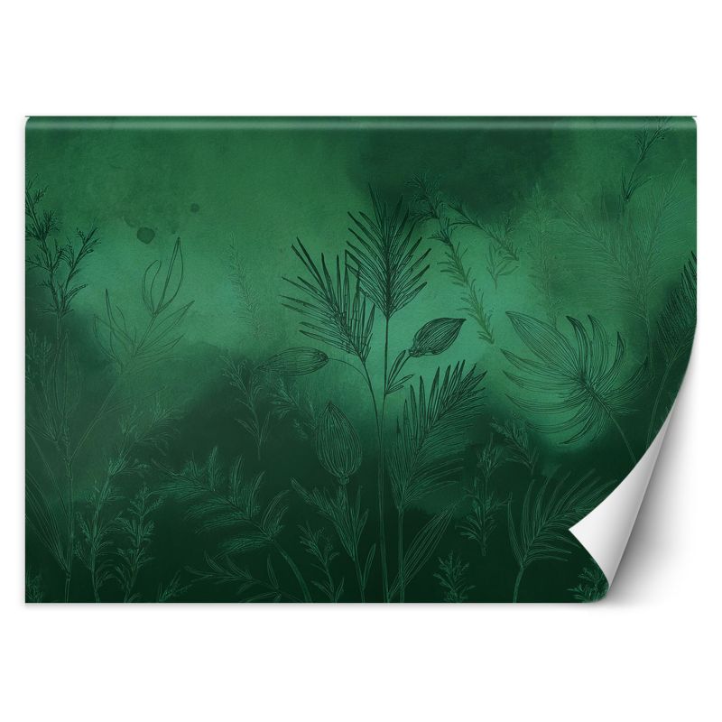 Fototapeta Feeby Zielona abstrakcja botaniczna 350x245 1 szt