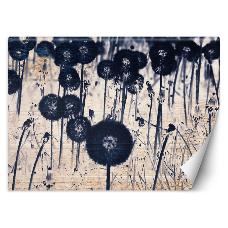 Fototapeta Feeby Monochromatyczne dmuchawce na postarzanych deskach 400x280 1 szt