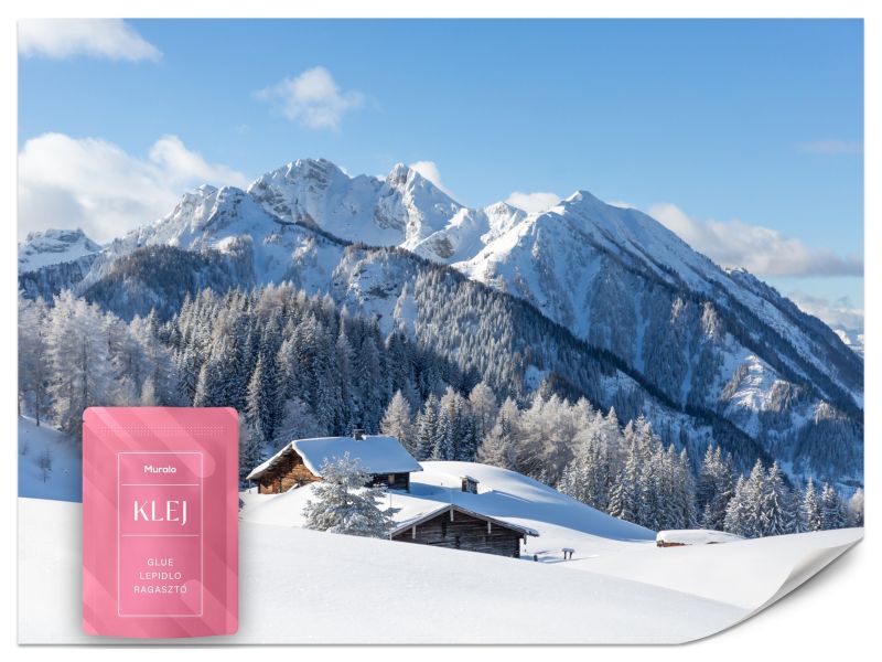 Fototapeta Muralo Zima w Górach Krajobraz 500x350 cm 1szt.