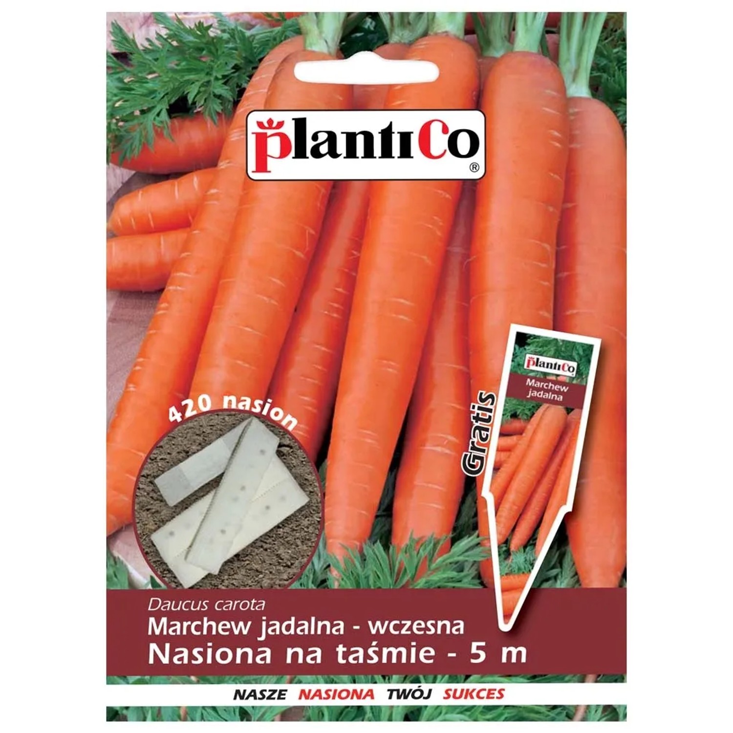 Marchew wczesna - nasiona na taśmie 5m