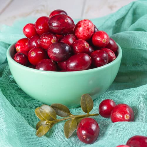 1 db, Áfonya Piligrim, P9 - Palánták: Mod de ambalare: 1 db