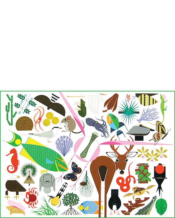 Charley Harpers Animal Kingdom