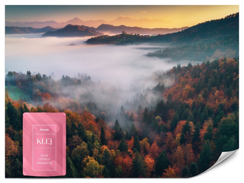 Fototapeta Muralo Las we Mgle Natura 250x175 cm 1szt.