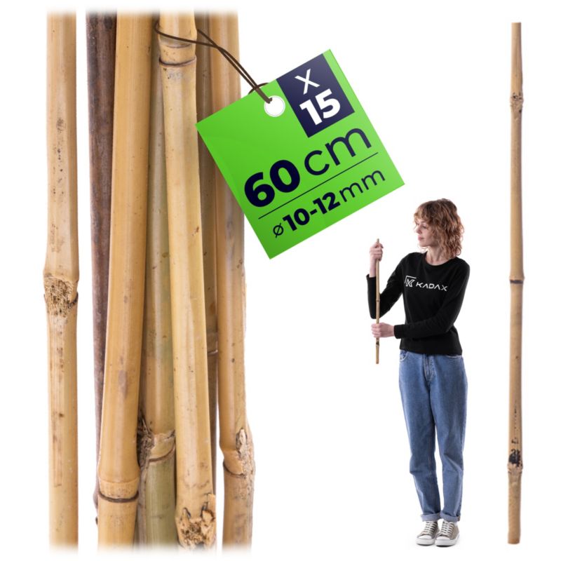 Paliki bambusowe KADAX do roślin 60 cm x 10/12 mm 15 szt.