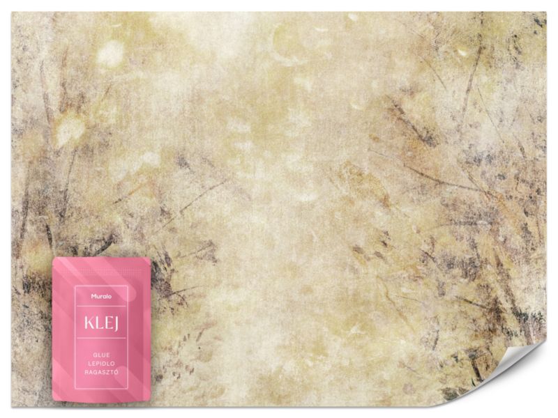 Fototapeta Muralo Abstrakcja Mural Ściana 300x210 cm 1szt.