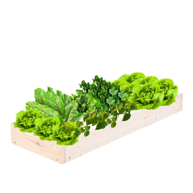 Skrzynia warzywna MODO24 regulowana donica 9x30x80 cm przezroczyste impregnowane drewno 1 szt