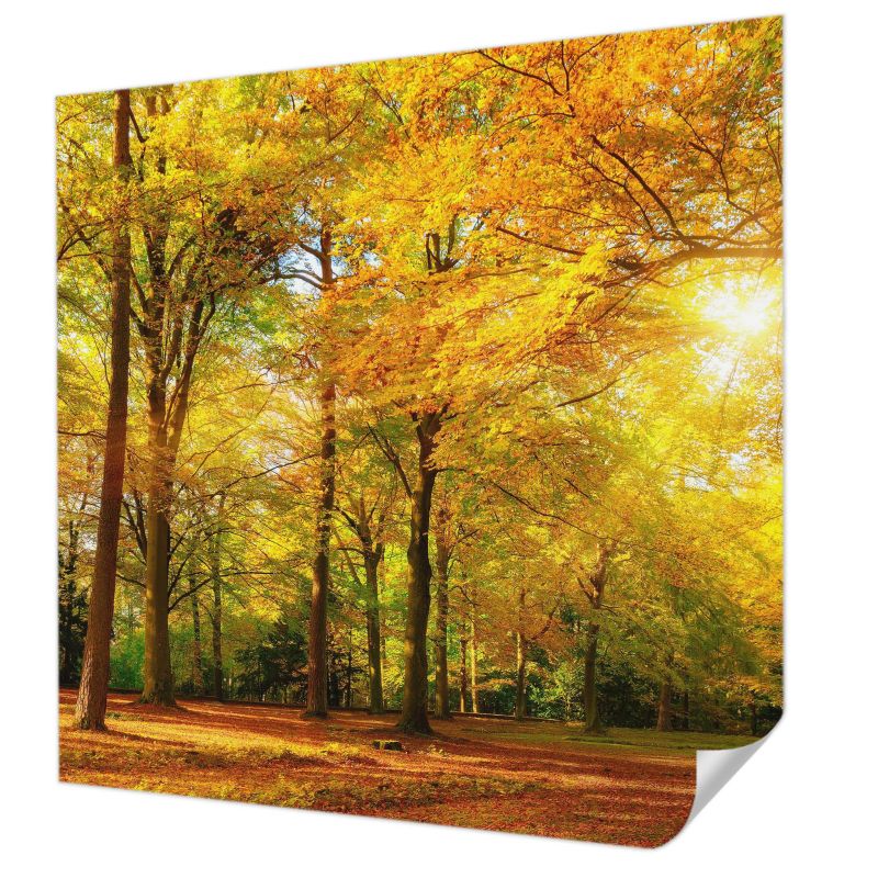 Fototapeta samoprzylepna Tulup 250x250 cm Złote liście Tapeta Do Salonu, Sypialni, Biura 1 szt.