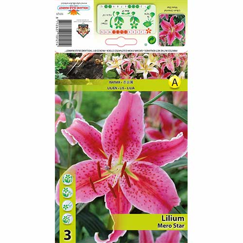 3 kus, Lilie Mero Star - : Monžstvo balíkov: 3 kus