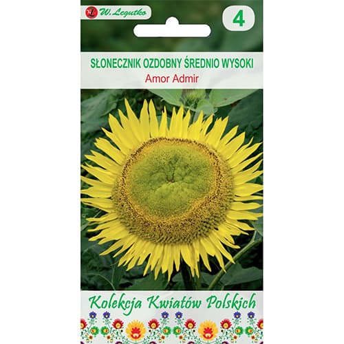 1 szt, Dísz napraforgó Amor Admir - Magok: Mod de ambalare: 2 g