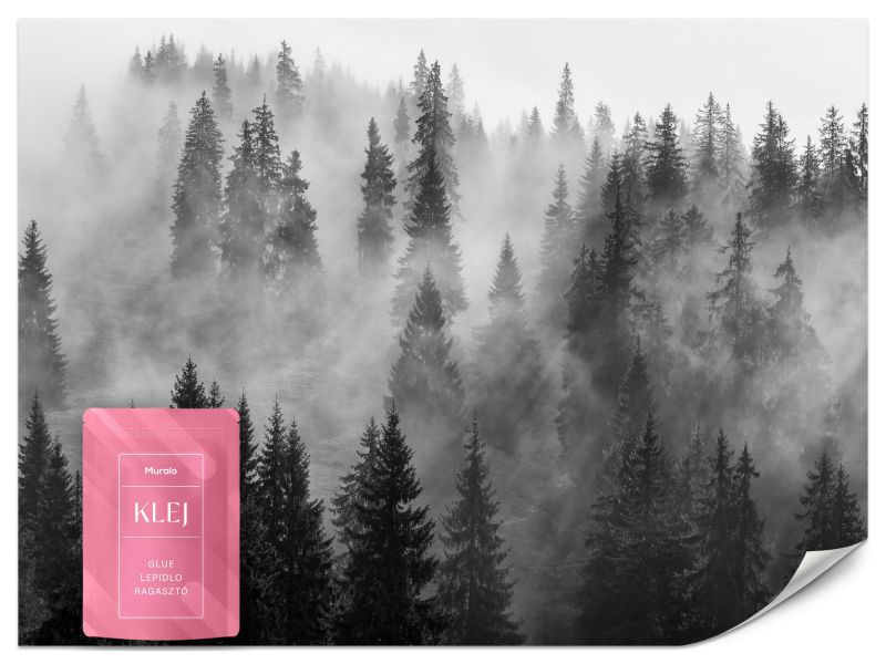 Fototapeta Muralo Czarno-biały Las we Mgle 200x140 cm 1szt.