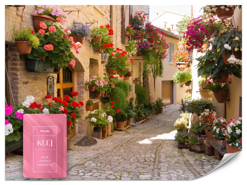 Fototapeta Muralo Włoska Uliczka Kwiaty Deptak 300x210 cm 1szt.