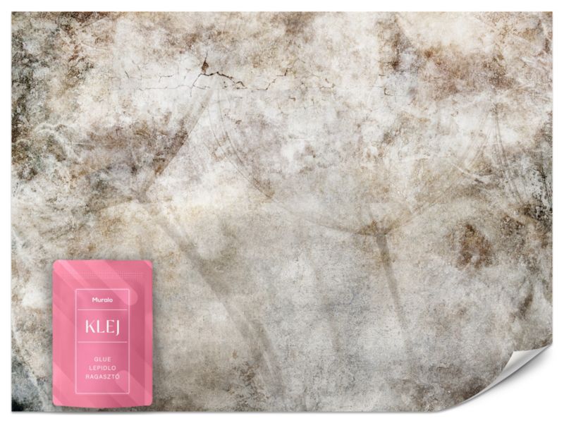 Fototapeta Muralo Dmuchawce Betonowa Ściana 100x70 cm 1szt.