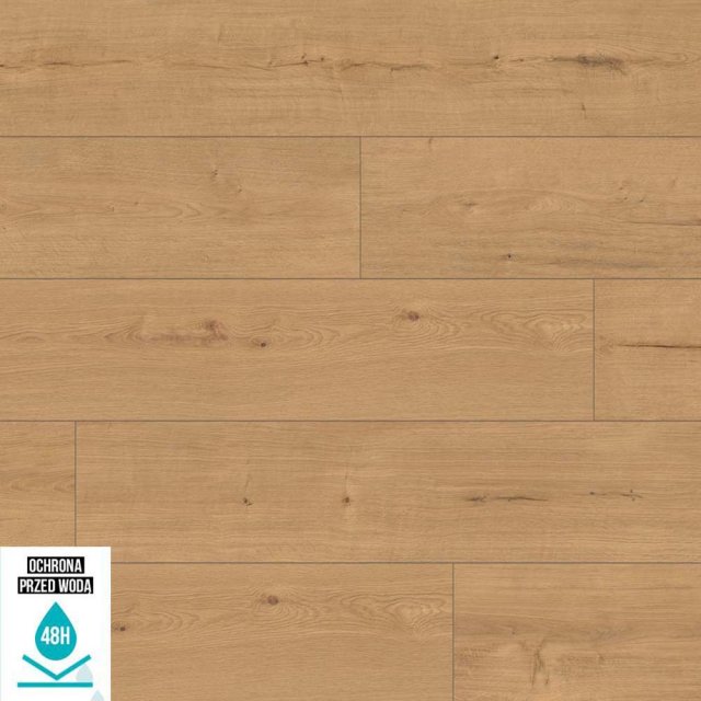 Panele podłogowe CLASSEN GRANDE XXL 4V 62971 MORITZBURG AC5 10 mm