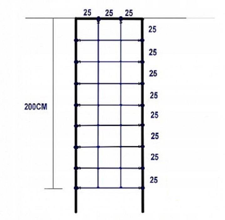 Siatka Do Wspinaczki Allforbaby 200X75Cm S-Hook Niebieska 1 szt