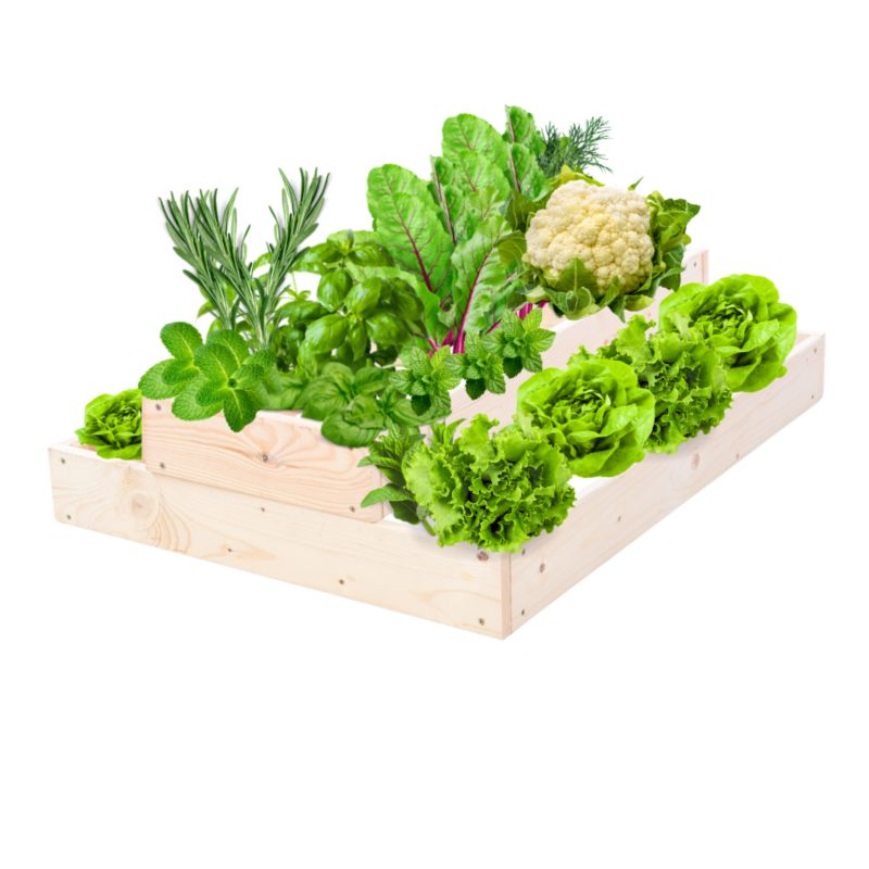 Skrzynia warzywna MODO24 regulowana donica 18x60x60 cm naturalne drewno 1 szt