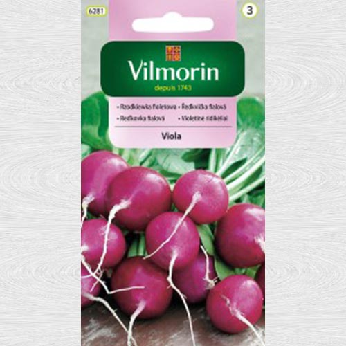 1 szt, Rzodkiewka fioletowa Viola - Nasiona: Ilość w opakowaniu: 5 g