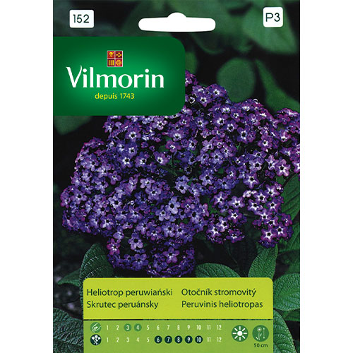 1 szt, Heliotrop peruwiański Vilmorin - Nasiona: Ilość w opakowaniu: 0.1 g