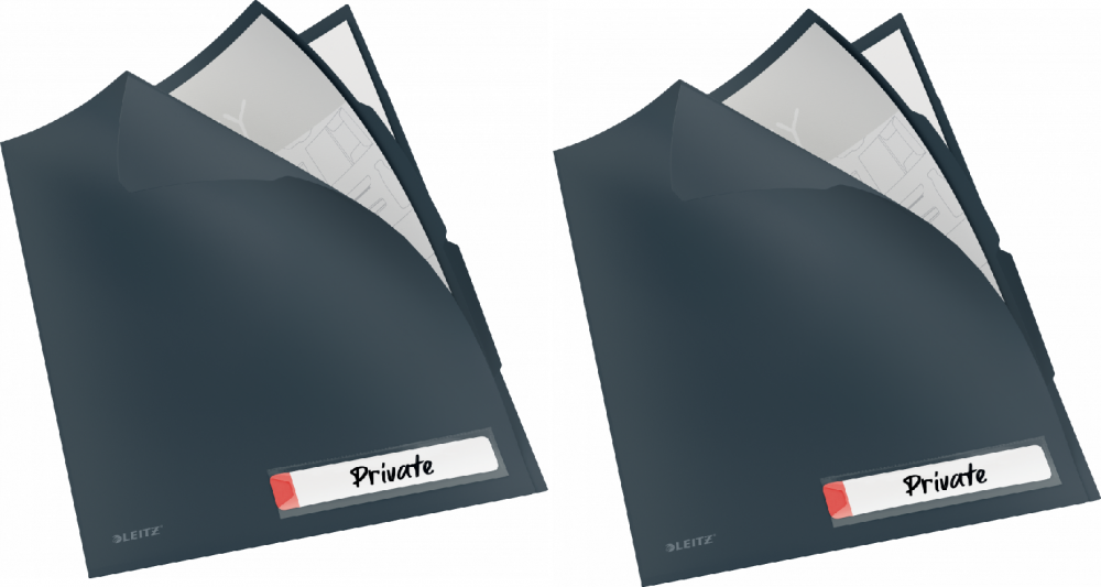 2x folder z 3 przegródkami Leitz Cosy, A4, do 40 kartek, szary