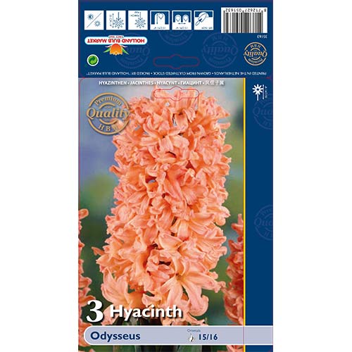 3 kus, Hyacint Odysseus - : Monžstvo balíkov: 3 kus