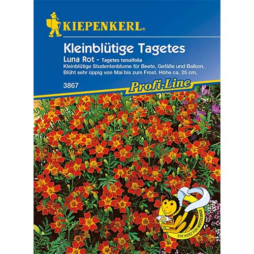 1 ob, Aksamitník mexický Luna Rot - : Monžstvo balíkov: 1 ob