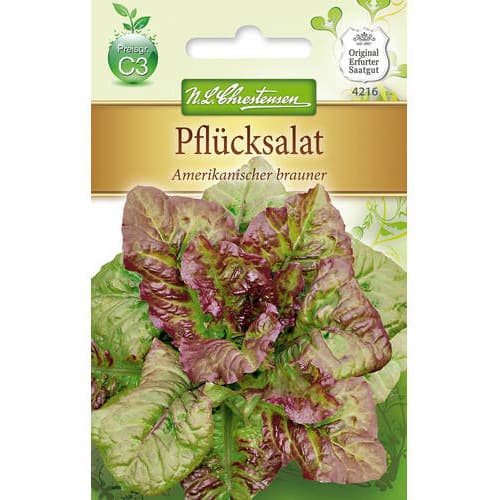 1 szt, Pflücksalat Amerikanischer Brauner - Samen: Ilość w opakowaniu: 1 Stück