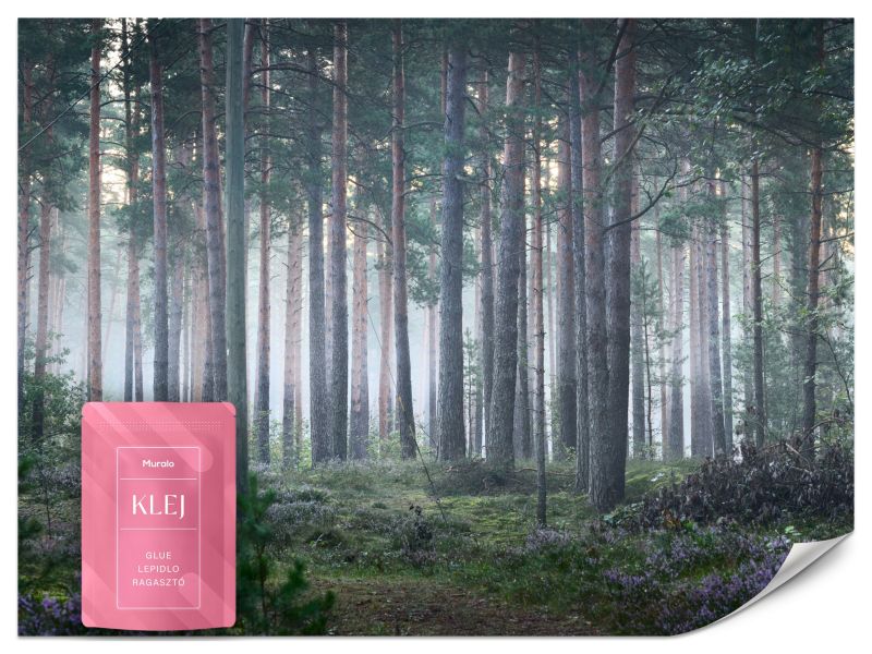 Fototapeta Muralo Las we Mgle Natura 450x315 cm 1szt.